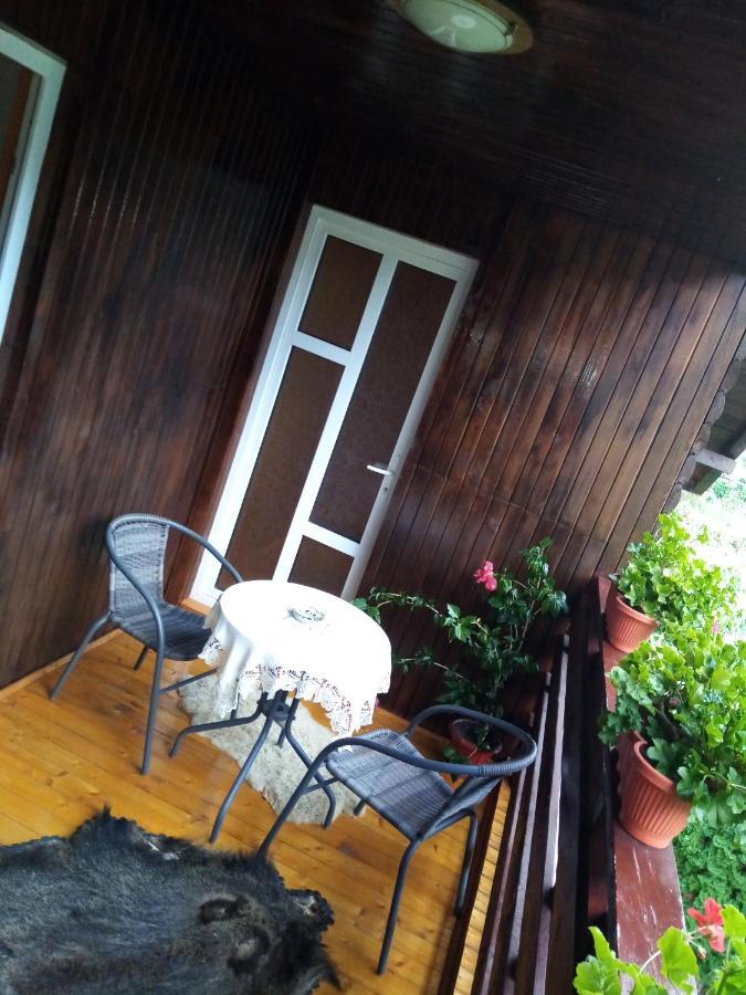 Casa Prundari Nicu Si Mirela Hotel Poiana Teiului Exterior photo